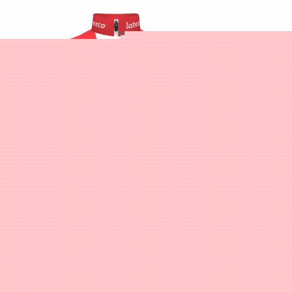CHAMPION DANMARK Pro Team 2021 Fietskleding Fietsshirt Korte Mouw+Korte Fietsbroeken Bib 20210554